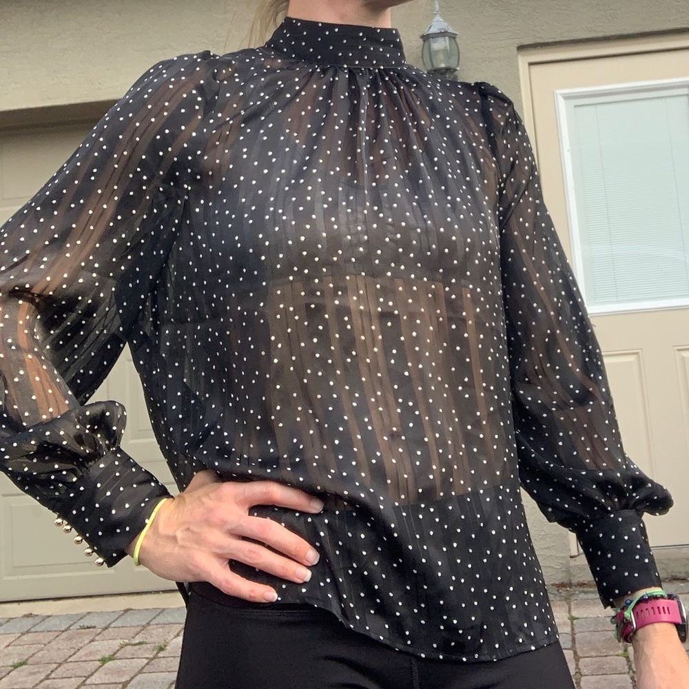 Romantic Sheer Black with White Dots Long Puff Sleeve Top - Picture 2 of 6